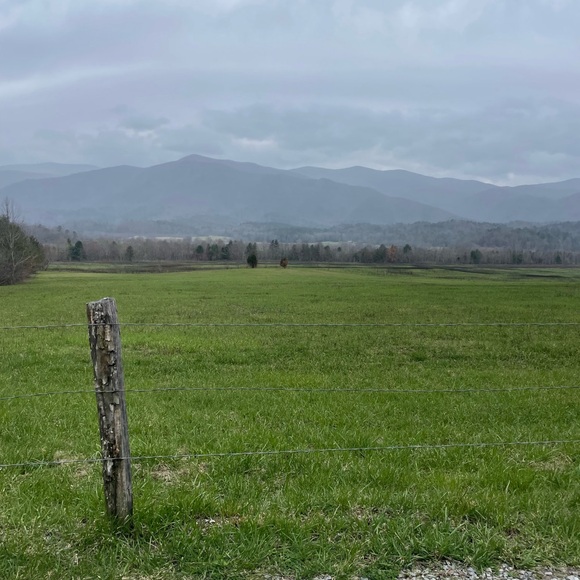 Meet your Posher, Amy - Picture 6 of 6